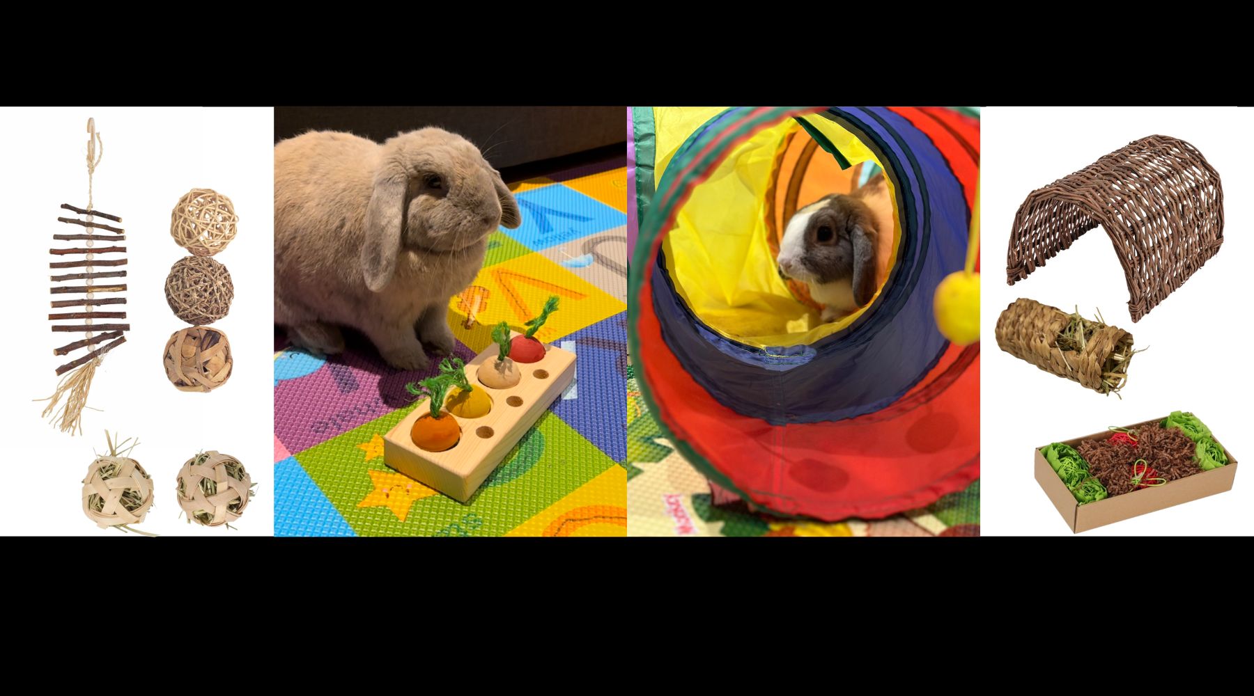 Rabbit playing with enrichment toys