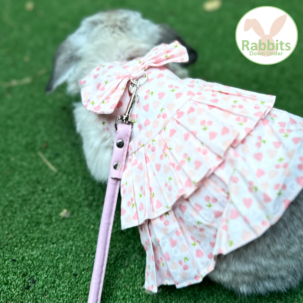 Rabbit dress harness