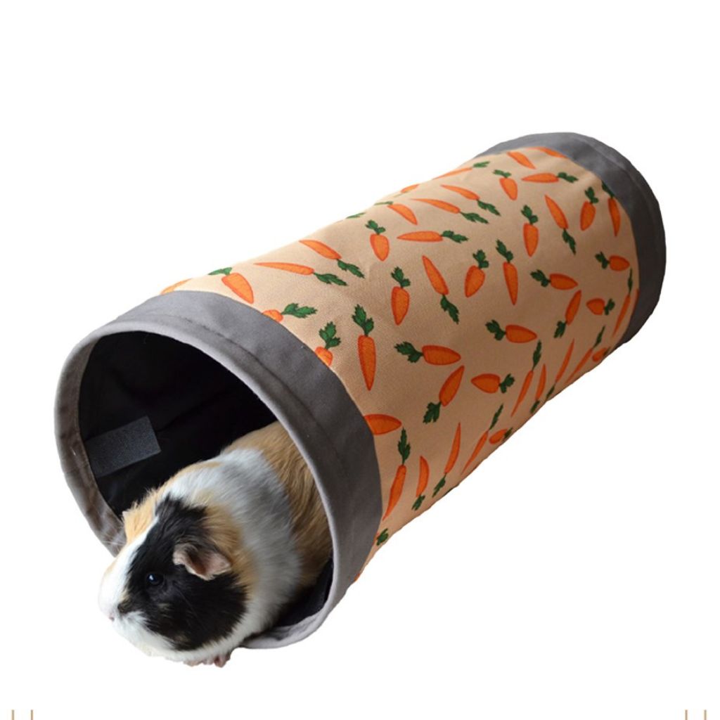 Carrot Themed Tunnel Rabbit Toy