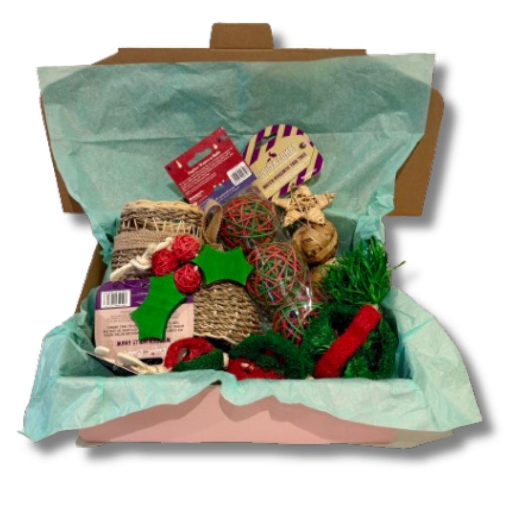 Santa&#39;s Nibbles Surprise Bundle