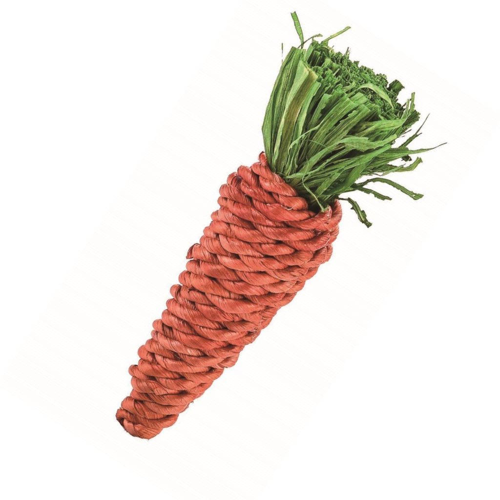 Corn-e-carrot Rabbit Toy