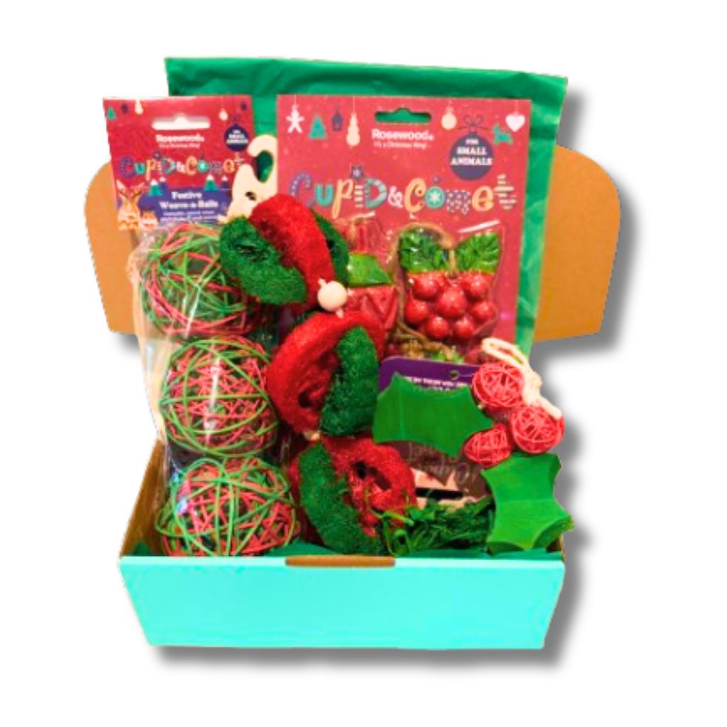 Christmas Pet Rabbit Treats