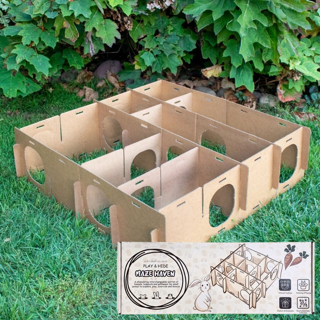 Play and hide maze for rabbits Maze Haven