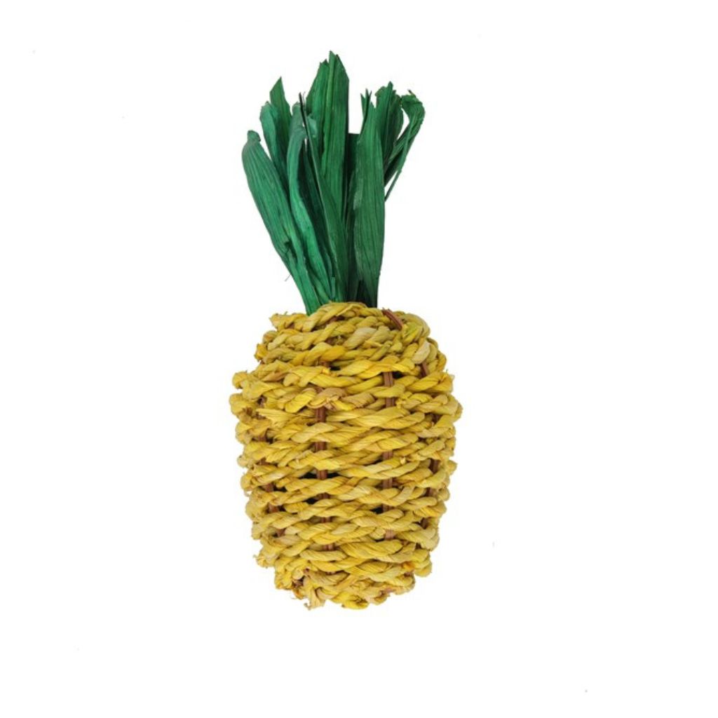 Woven Pineapple Chew Toy