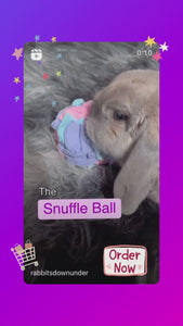 Snuffle Ball for Rabbits